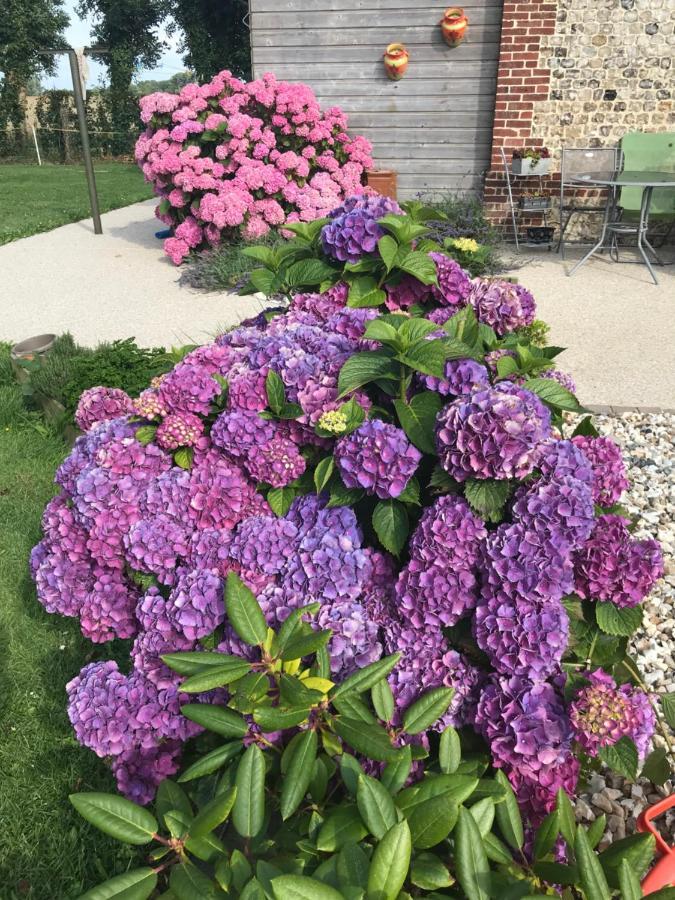 La Grange Aux Hortensias Thiergeville Εξωτερικό φωτογραφία